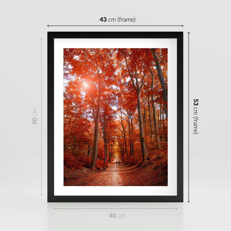 Plakat w ramie 40x50 - Magia jesiennego lasu - las, jesień - rama czarna