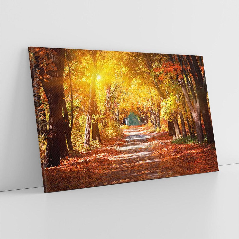 Obraz na płótnie 100x70 - Jesienna Droga: Przechadzka wśród Drzew - jesień, droga