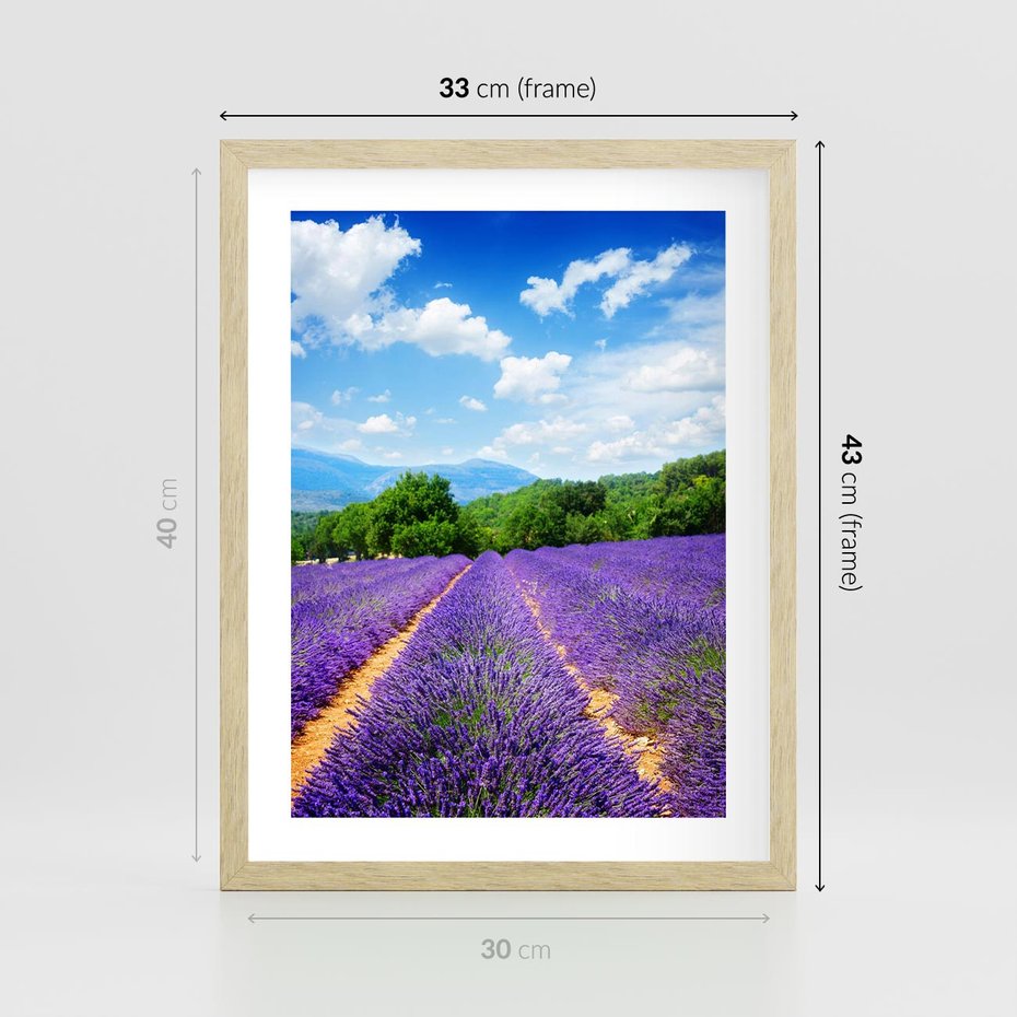 Plakat w ramie 30x40 - Prowansalska Lawenda - lawenda, prowansja - rama drewno