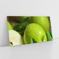 Obraz na płótnie 100x50 - Jabłkowa kolorystyka - jabłka, owoce