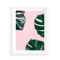 Plakat w ramie 50x70 - Siła Natury - liście, monstera - rama biała