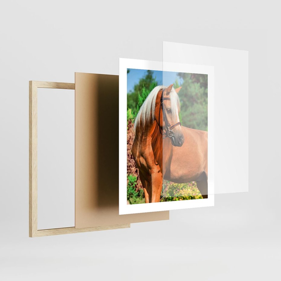 Plakat w ramie 40x50 - Elegancki wierzchowiec - koń, portret - rama drewno