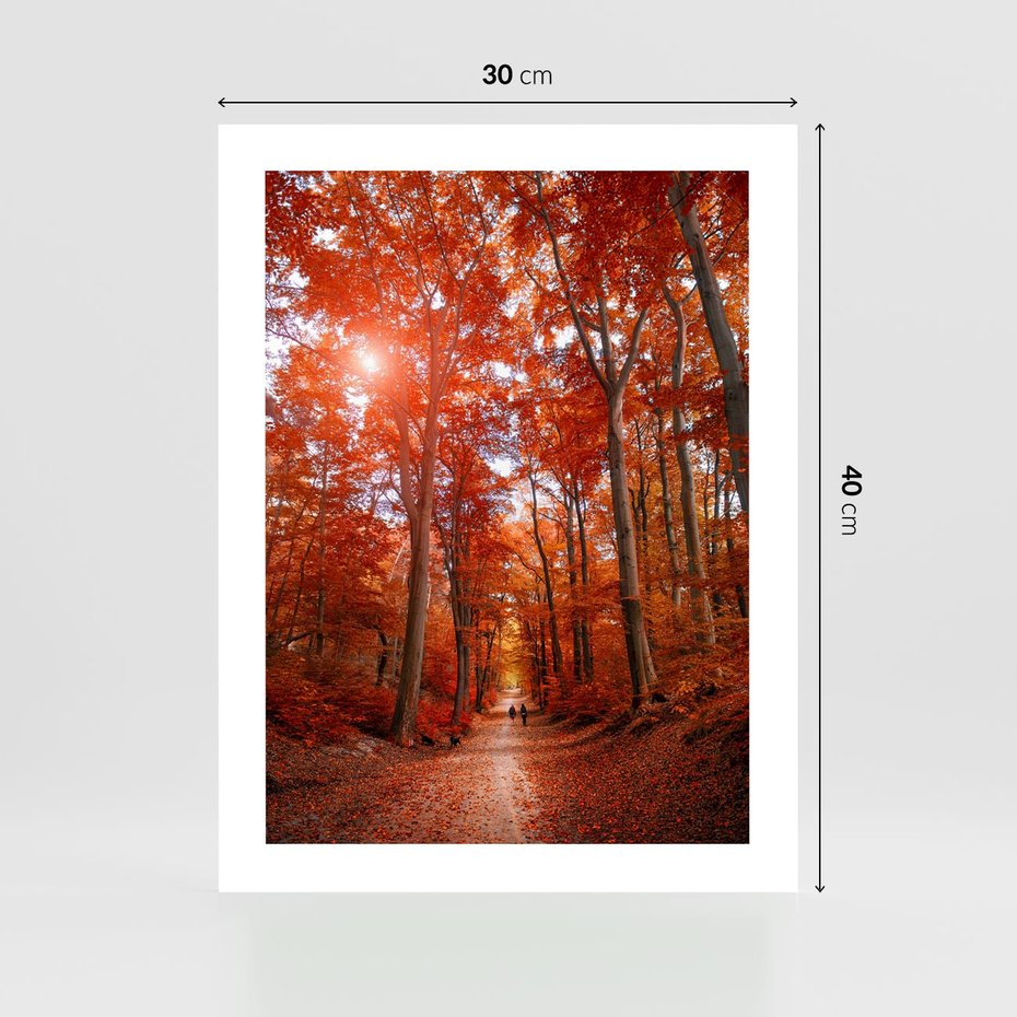 Plakat bez ramy 30x40 - Magia jesiennego lasu - las, jesień