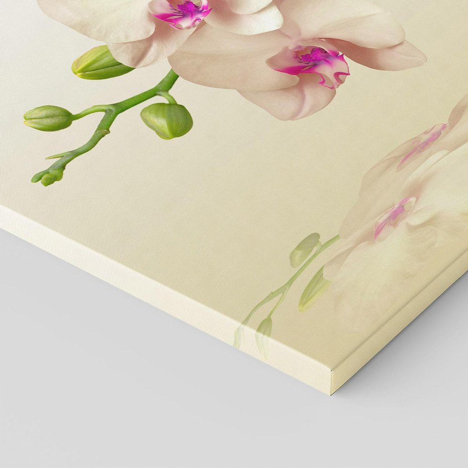 Obraz na płótnie 120x80 - Kwiatowa harmonia w SPA - orchidea, kwiat