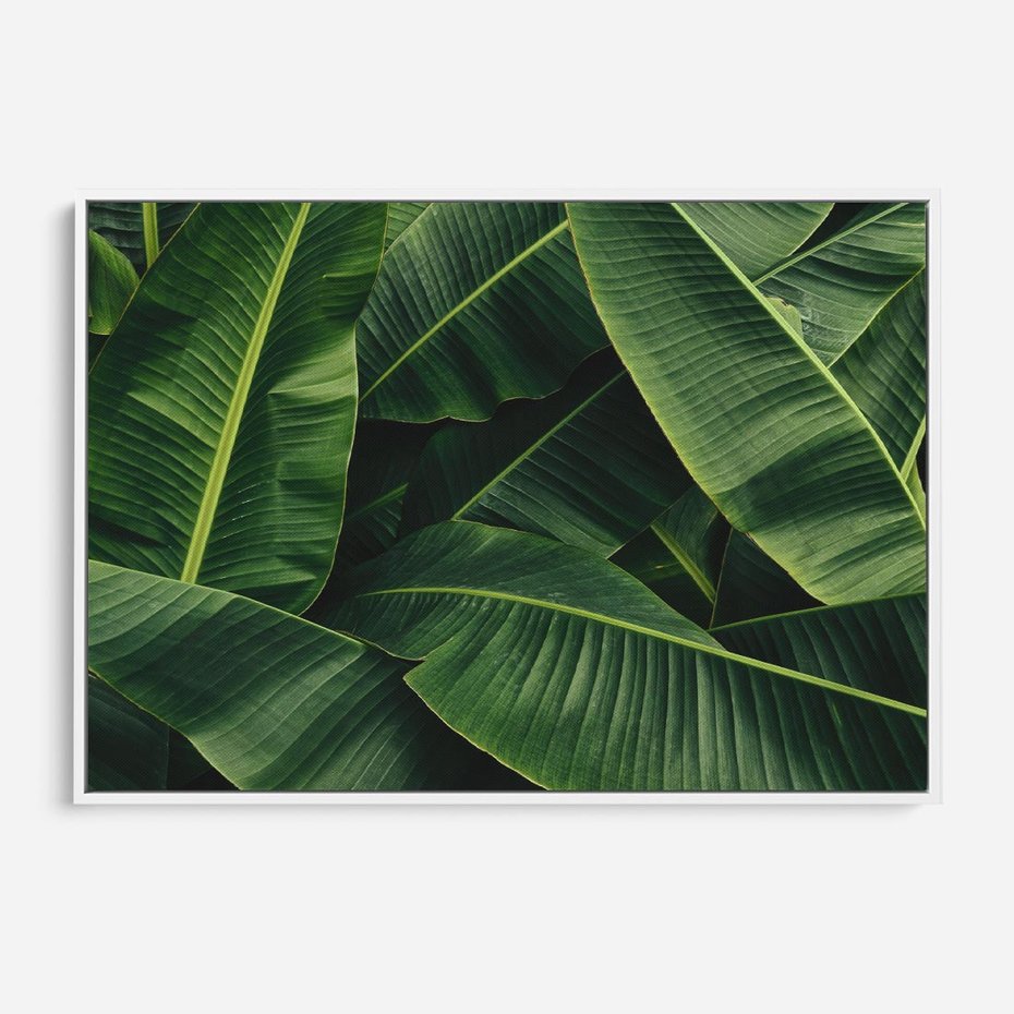 Obraz w ramie 120x80 - Zaklęta roślinna ekspresja - liście bananowca, gęsto ułożone - rama biała