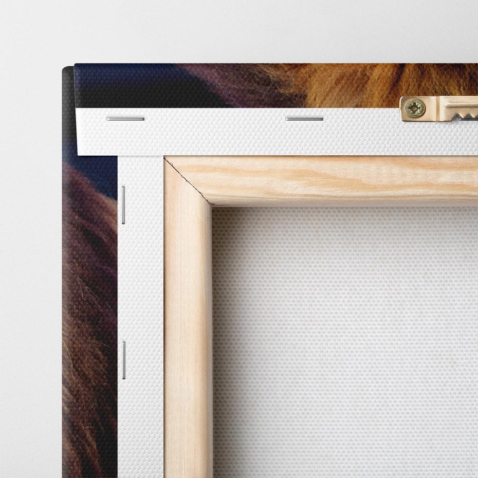 Obraz na płótnie 70x70 - Lew - Król Zwierząt - lew, zwierzęta