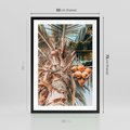 Plakat w ramie 50x70 - Tropikalna Palma: Fotografia z Kokosami - palma kokosowa, kokosy - rama czarna