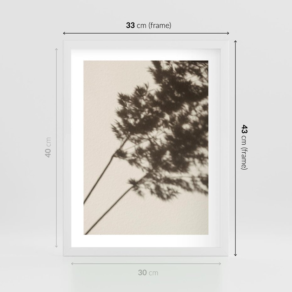 Plakat w ramie 30x40 - Tajemniczy Cień Traw - cień traw, na ścianie - rama biała