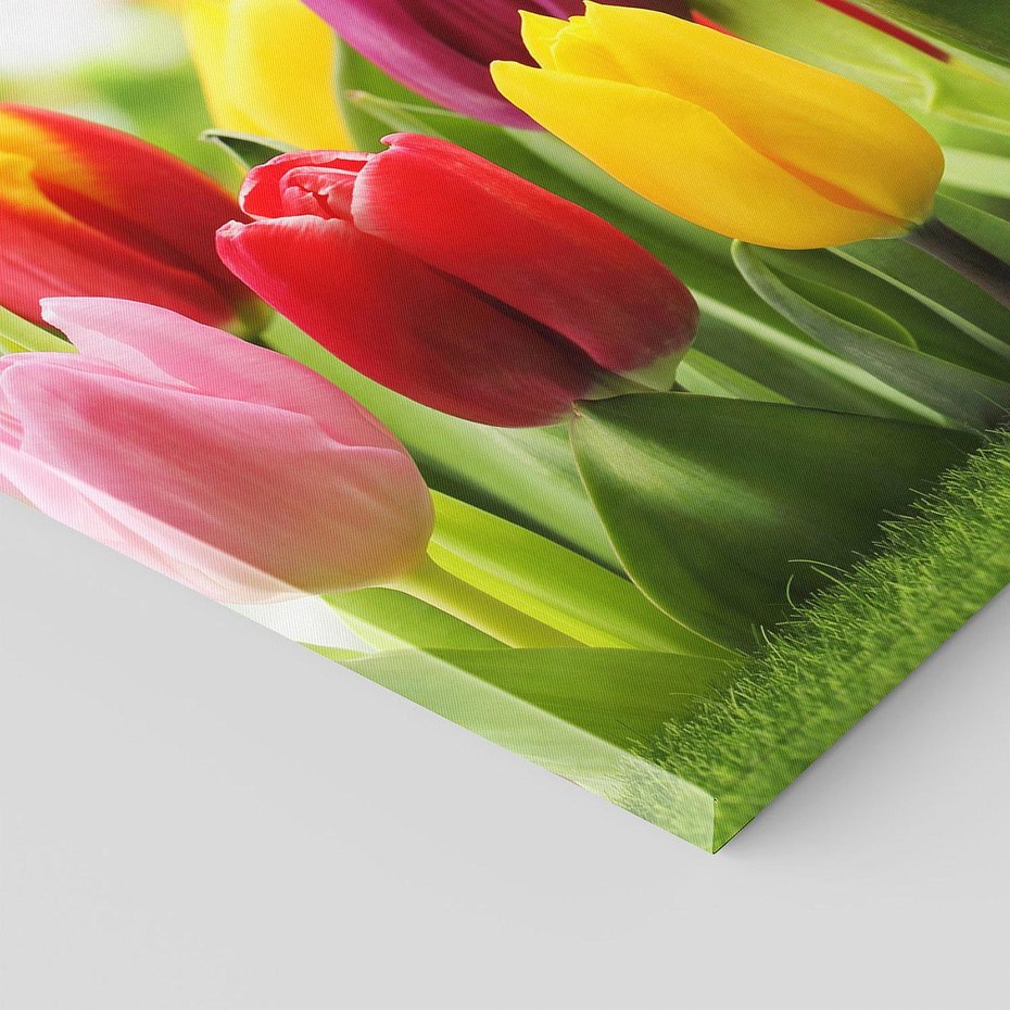 Obraz na płótnie 120x60 - delikatność kwiatowego świata - tulipany, kwiaty