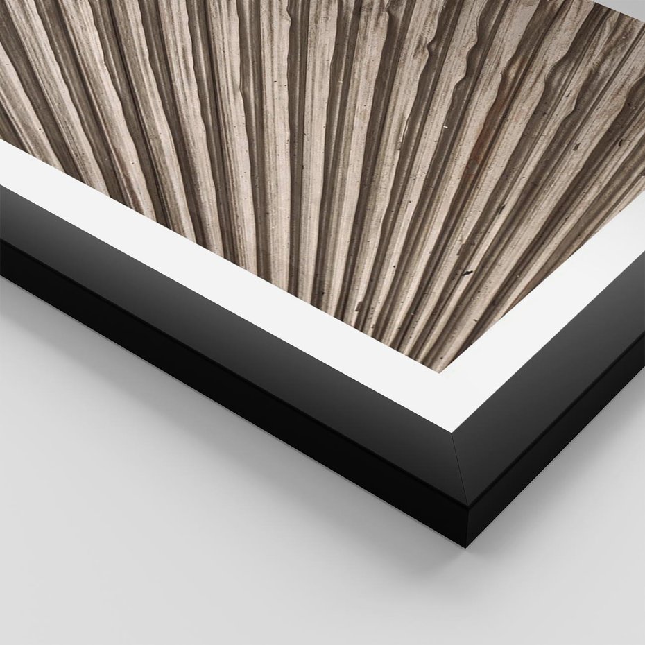 Plakat w ramie 40x50 - Liść Palmy w Wyjątkowej Kompozycji - suchy liść palmy, boho styl - rama czarna