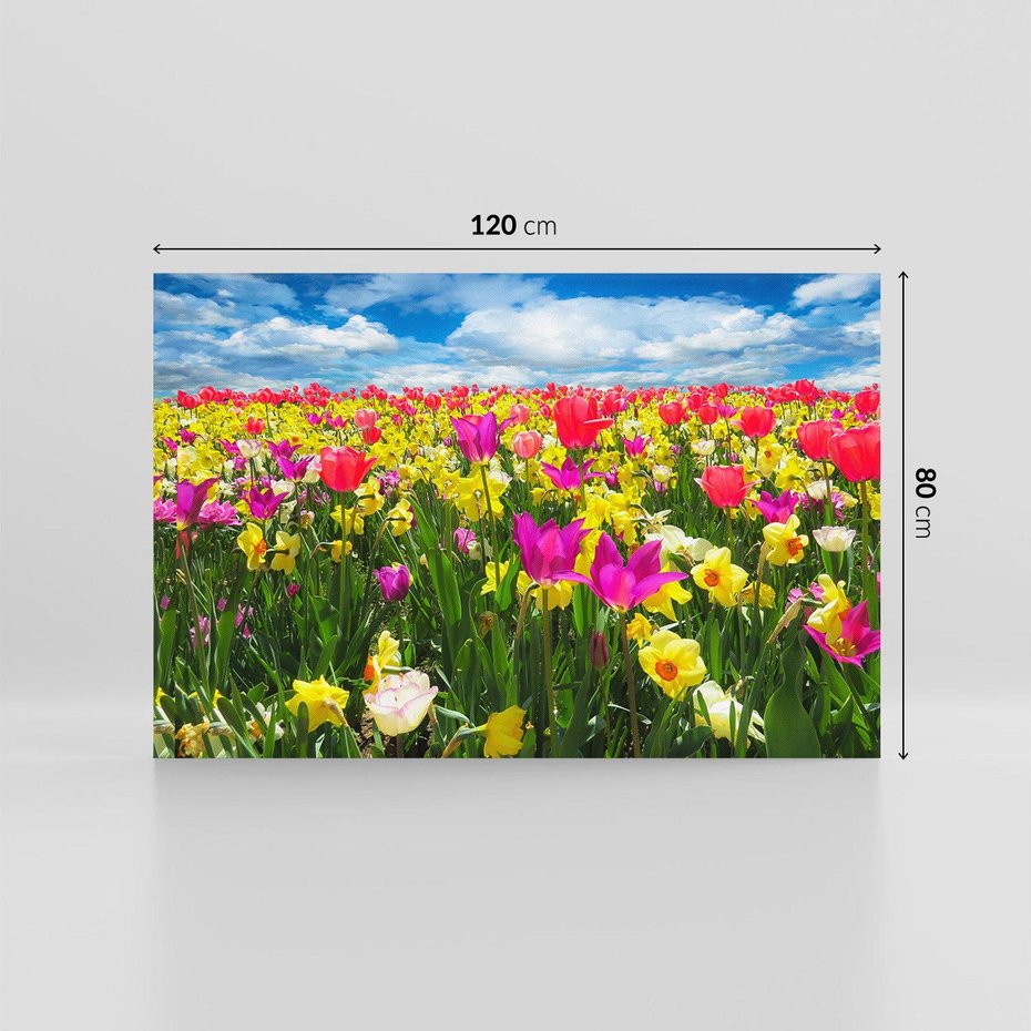 Obraz na płótnie 120x80 - tulipany na łące - kwiaty, tulipany