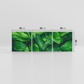 Obraz na płótnie 120x40 - Palma Liście Kwiat - palma, liście