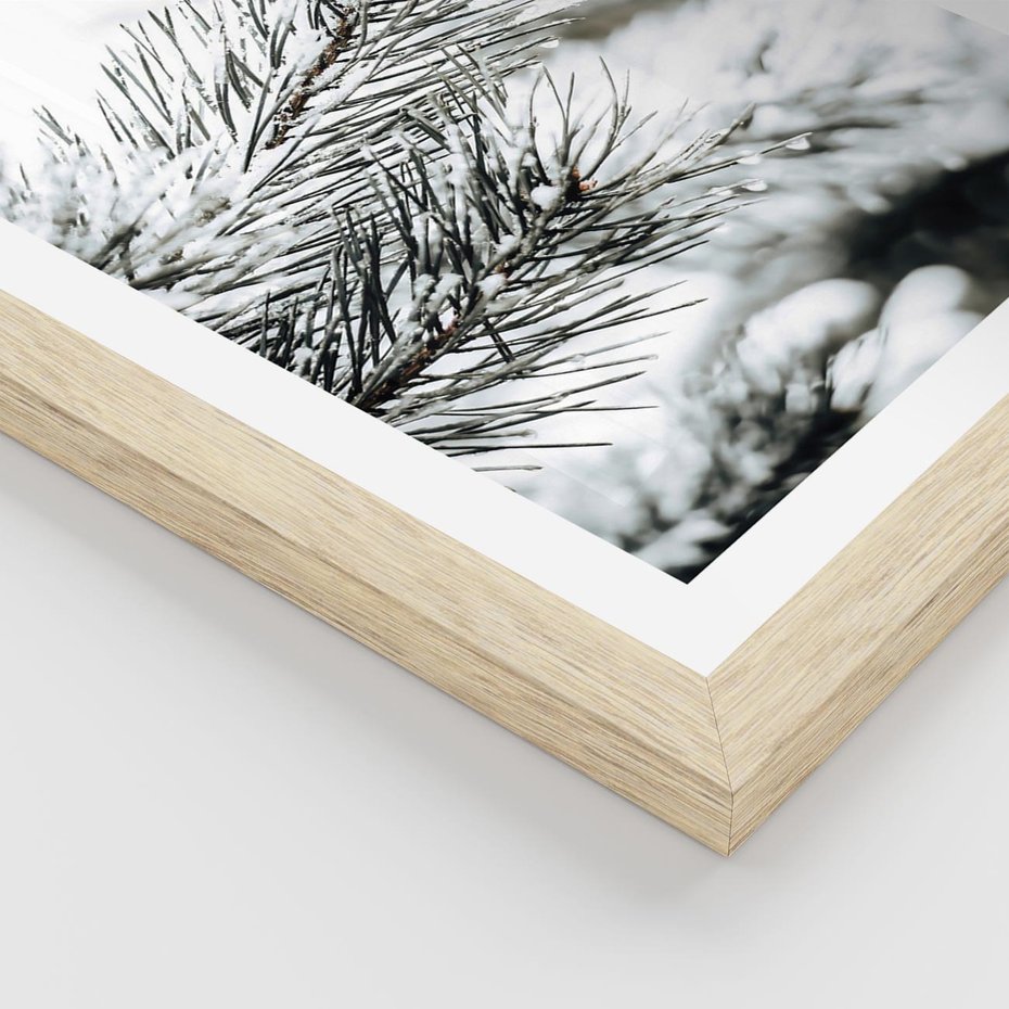 Plakat w ramie 30x40 - Chwila Zimowej Magii - iglasta gałązka, śnieg - rama drewno