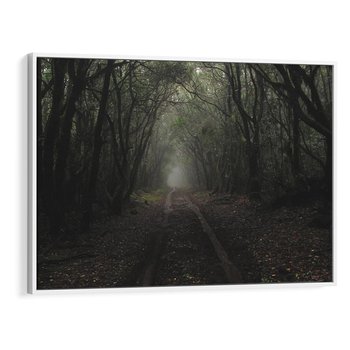 Obraz w ramie 100x70 - Urok Drogi - las, droga - rama biała