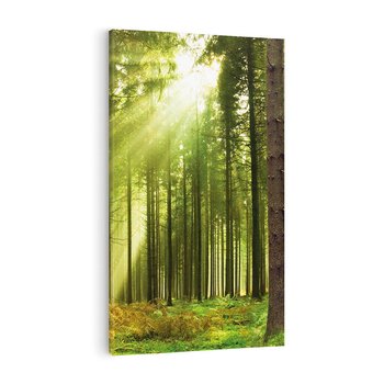 Obraz na płótnie 50x70 - Spokój wśród drzew: las w odcieniach zieleni - las, drzewa