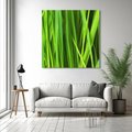 Obraz na płótnie 30x30 - Trawa w abstrakcji: natura przekształcona - trawa, abstrakcja