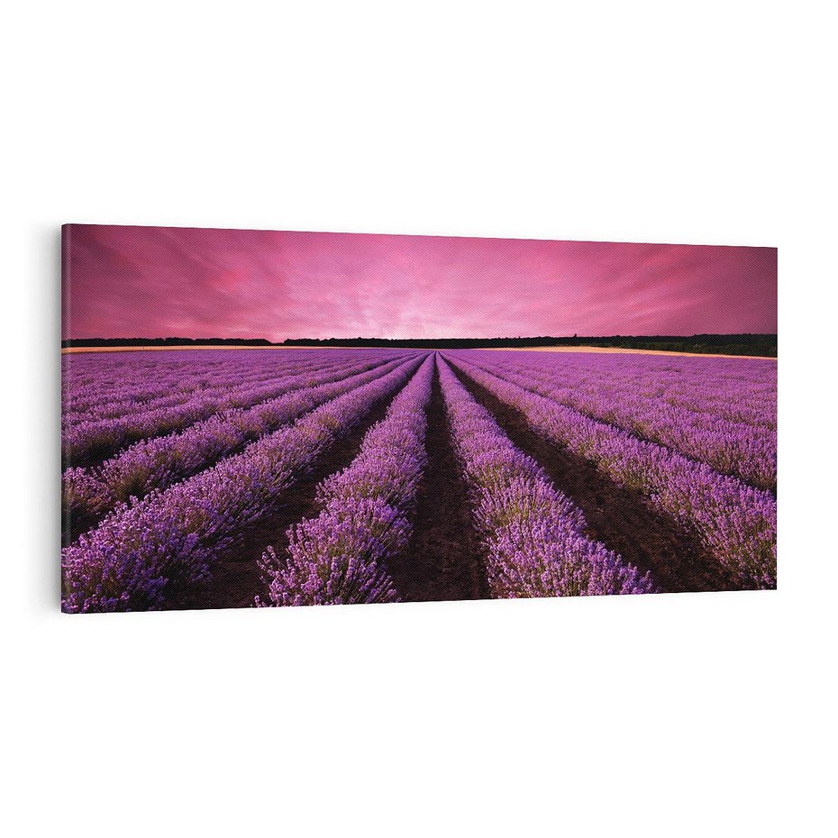 Obraz na płótnie 120x60 - Pola lawendy w pełnym rozkwicie - Lawenda, krajobraz