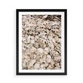 Plakat w ramie 50x70 - Symfonia Natury - kompozycja z białych muszli - rama czarna