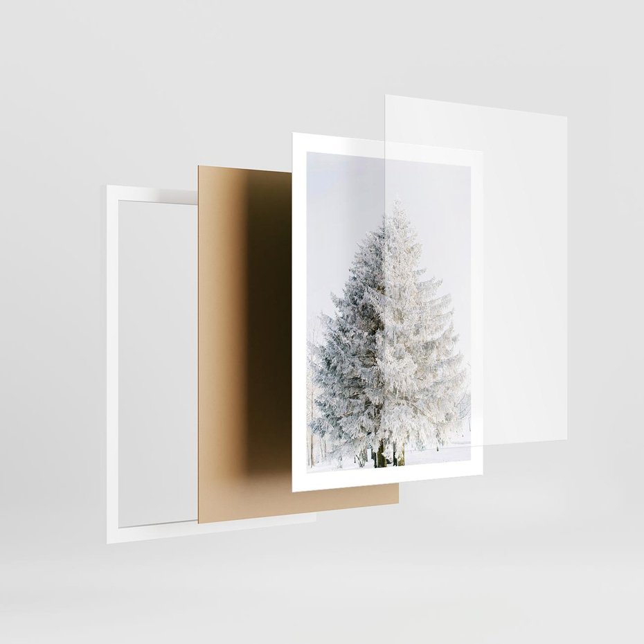 Plakat w ramie 50x70 - Zimowa Poezja w Ośnieżonym Drzewie - ośnieżone drzewo, zima - rama biała