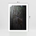 Plakat bez ramy 21x30 - Jeleń wśród lasu - jeleń, las