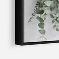 Obraz w ramie 50x50 - Uwodzicielska zieleń eukaliptusa - eukaliptus, zielone - rama czarna