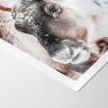 Plakat bez ramy 30x40 - Renifer w Zimowej Krainie - renifer, zima