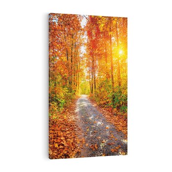 Obraz na płótnie 80x120 - Kolorowe drzewa na ścieżce jesieni - las, jesień