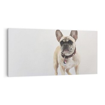 Obraz na płótnie 120x60 - Wernisaż psiego wdzięku - pies, piesek