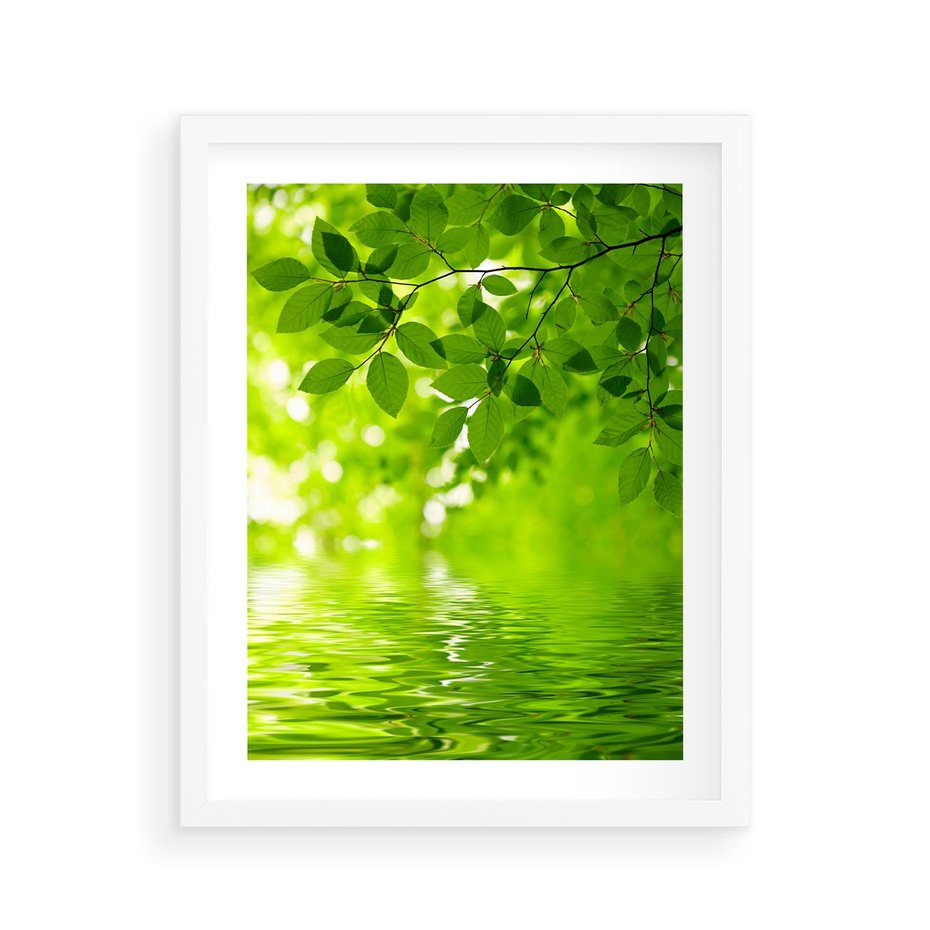 Plakat w ramie 40x50 - Liście w Wodzie - liście, woda - rama biała