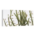 Obraz na płótnie 140x70 - Ekskluzywna Roślinność - kaktusy, liście