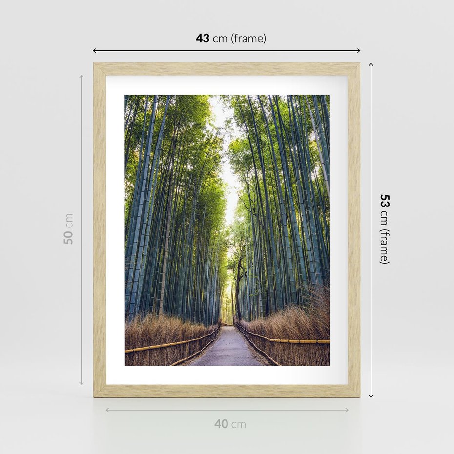 Plakat w ramie 40x50 - Urokliwa dróżka w lesie - las, dróżka - rama drewno