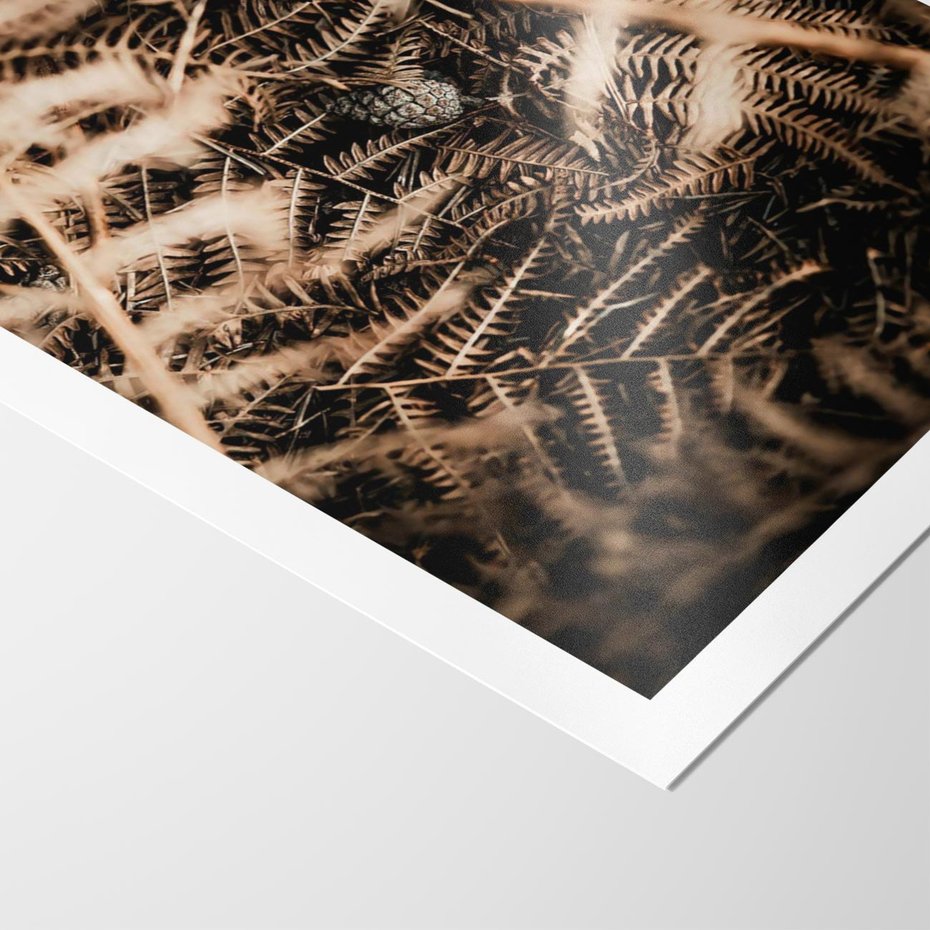 Plakat bez ramy 30x40 - Liście i Paprocie - suche liście, paprocie