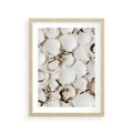 Plakat w ramie 30x40 - Białe Muszle - białe muszle, ujęcie z góry - rama drewno