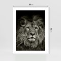 Plakat bez ramy 30x40 - Moc lewego spojrzenia - lew, czarno