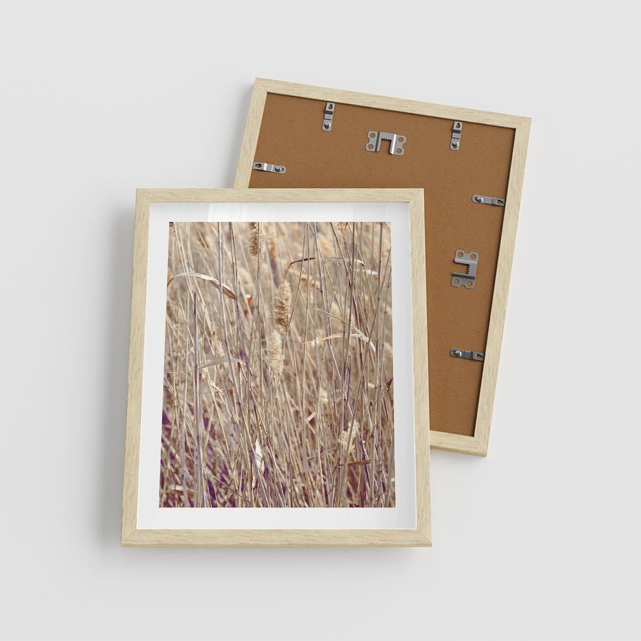 Plakat w ramie 40x50 - Suche Trawy w Wyjątkowym Stylu - suche trawy, boho styl - rama drewno