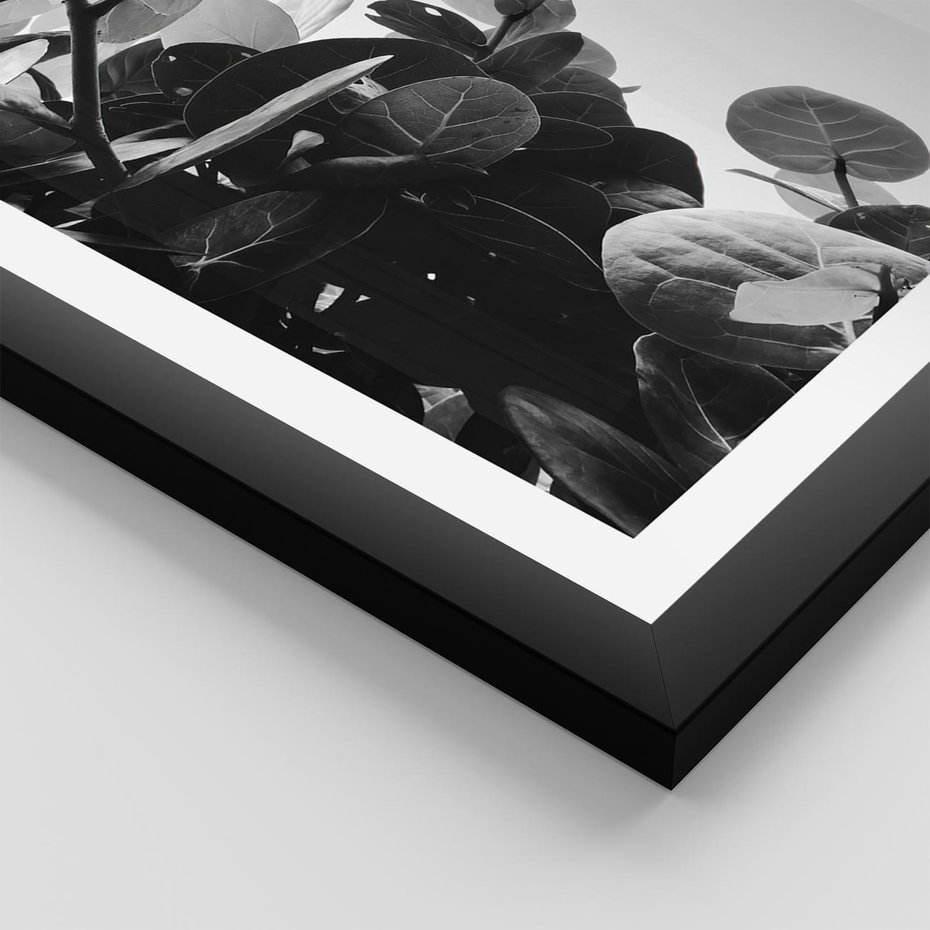 Plakat w ramie 40x50 - Blisko Natury - liście, rośliny tropikalne - rama czarna