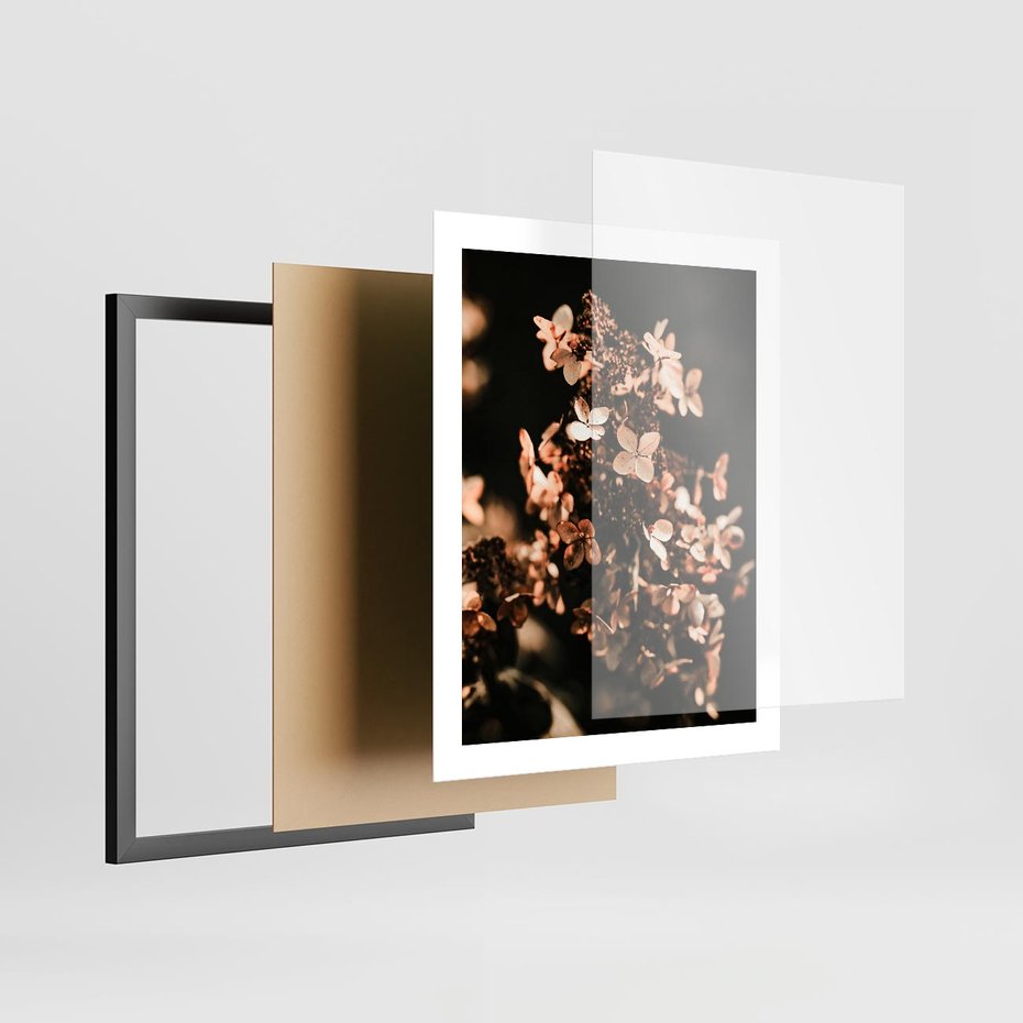 Plakat w ramie 40x50 - Hortensja - Suchy Kwiat w Sztuce - hortensja, suchy kwiat - rama czarna