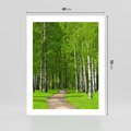 Plakat bez ramy 40x50 - Spacer Ścieżką w Urokliwym Lesie - las, ścieżka