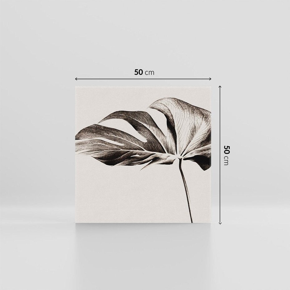 Obraz na płótnie 50x50 - Szapczący Liść - szkic, czarno biały
