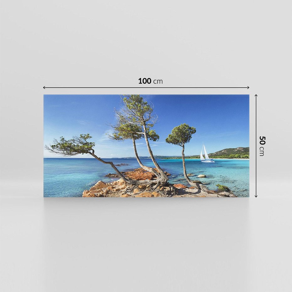 Obraz na płótnie 100x50 - Korsyka - morze i drzewa - Korsyka, morze