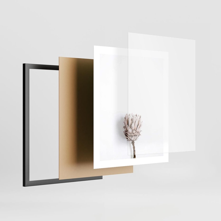 Plakat w ramie 40x50 - Suszona Roślina na Białym Tle - minimalizm, suszona roślina - rama czarna