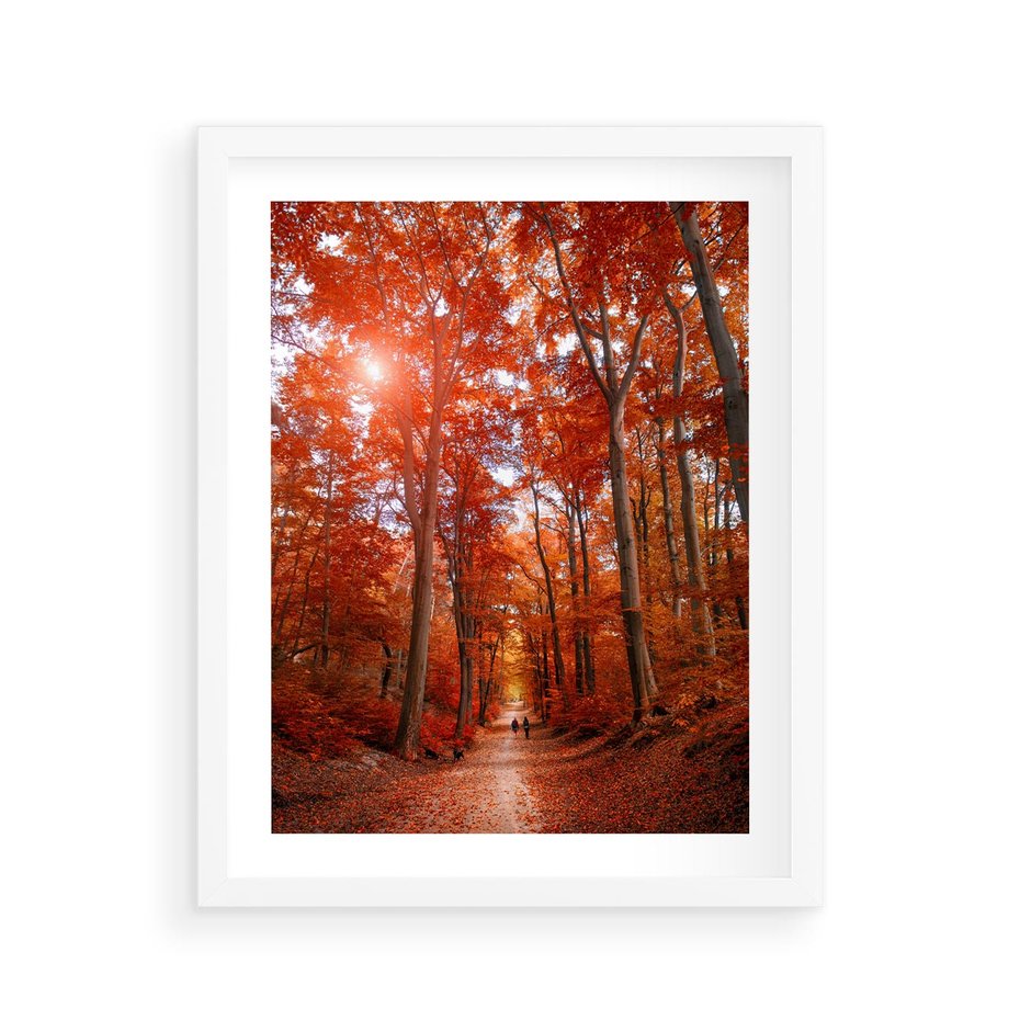 Plakat w ramie 40x50 - Magia jesiennego lasu - las, jesień - rama biała