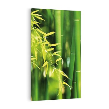 Obraz na płótnie 80x120 - Spokój bambusowego lasu SPA - bambus, drzewa