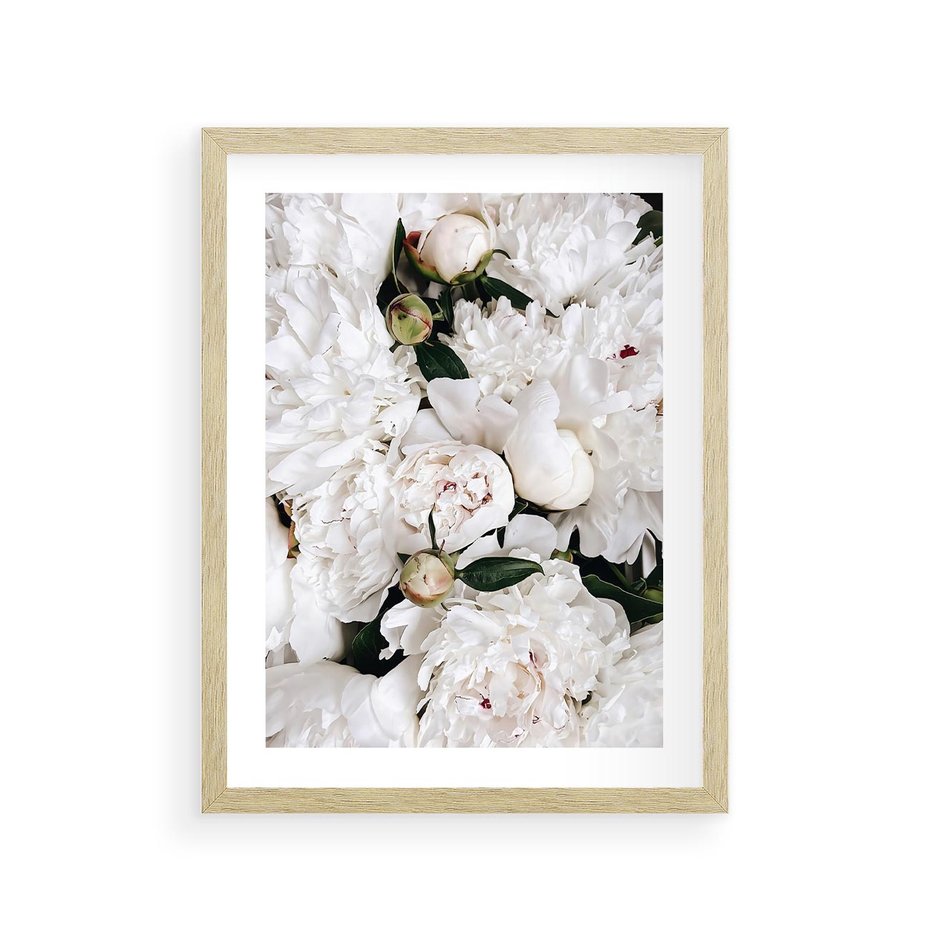 Plakat w ramie 30x40 - Modne Białe Kwiaty - białe kwiaty, płatki - rama drewno