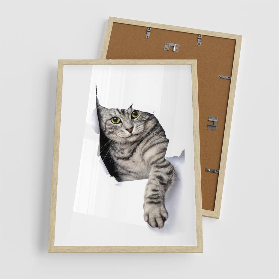 Plakat w ramie 50x70 - Tajemniczy kot i jego świat - kot, dziura - rama drewno