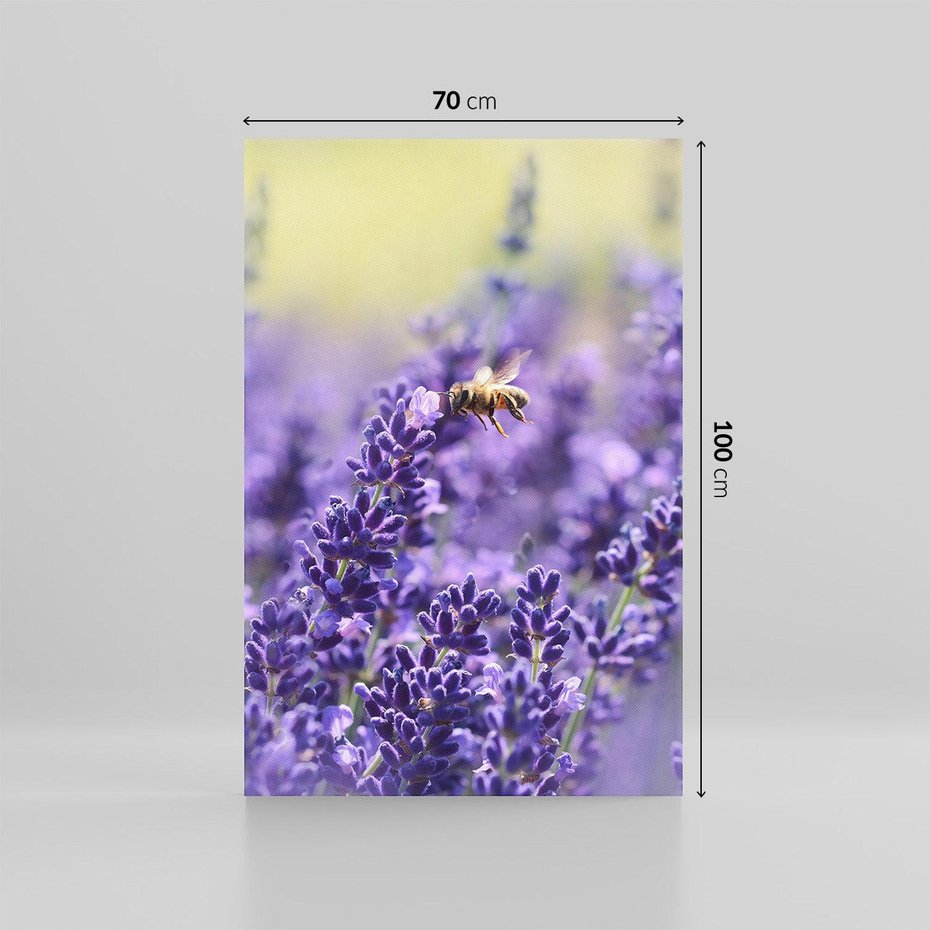 Obraz na płótnie 70x100 - Magia lawendy delikatne kwiaty - lawenda, kwiat
