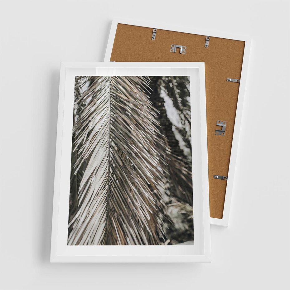 Plakat w ramie 50x70 - Egzotyczne Gałęzie - suche gałęzie, liście palmy - rama biała