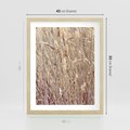 Plakat w ramie 40x50 - Suche Trawy w Wyjątkowym Stylu - suche trawy, boho styl - rama drewno