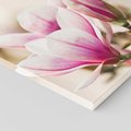 Obraz na płótnie 80x120 - Urok Magnolii - magnolie, kwiaty
