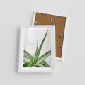 Plakat w ramie 30x40 - Zielone Piękno - aloes, liście - rama biała